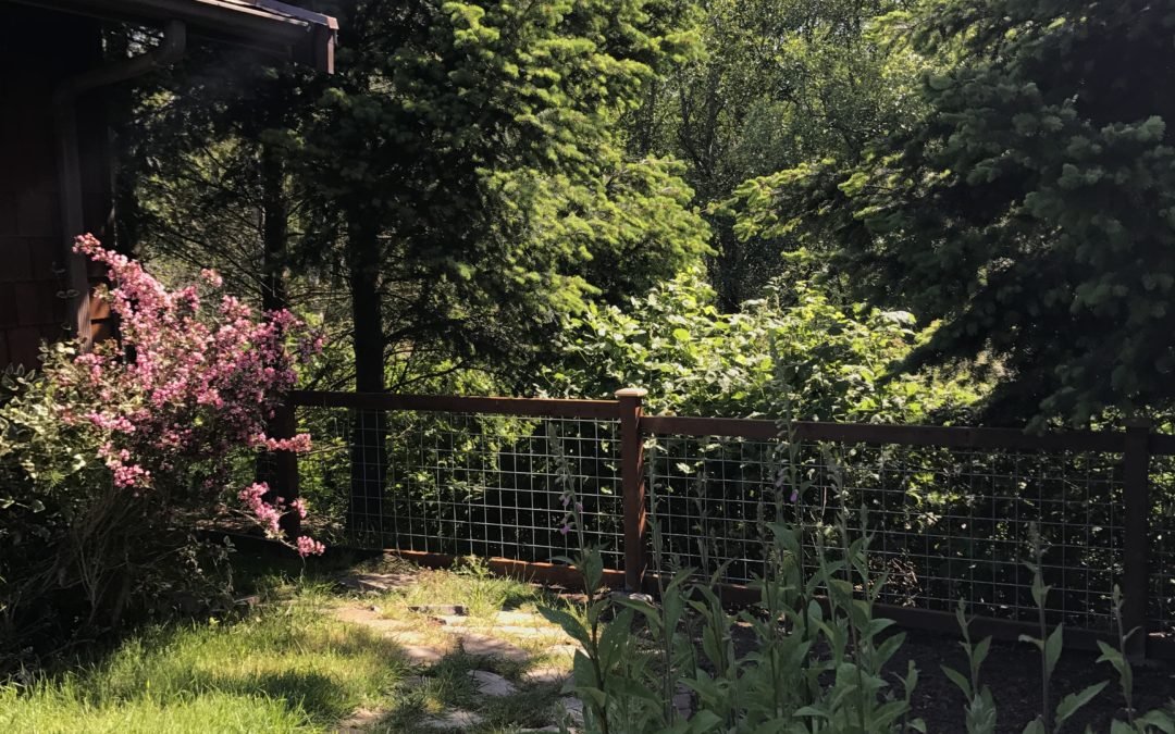 Ethical Responsibilities for Creators Uphold Trust and Integrity Online